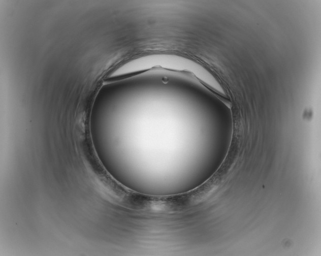 X0000091490264200709061907
