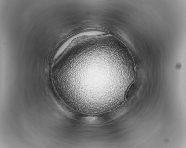 X0000091490265200709061907