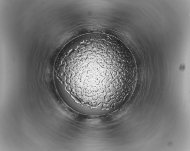 X0000091490266200709061907