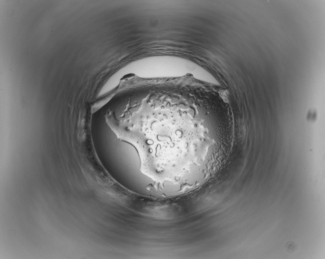 X0000091490267200709061907
