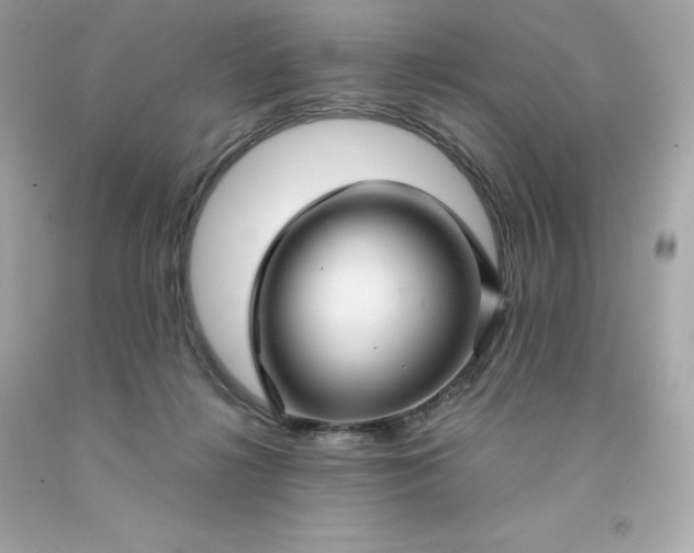 X0000091490268200709061907