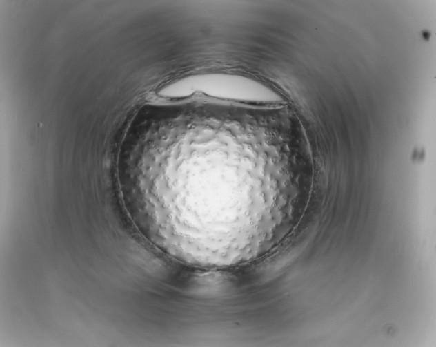 X0000091490269200709061907