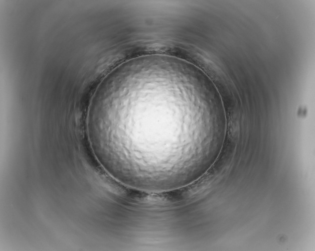 X0000091490270200709061907
