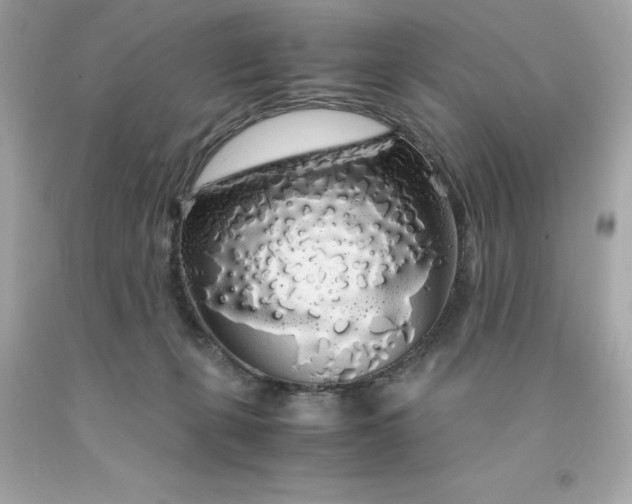 X0000091490271200709061907