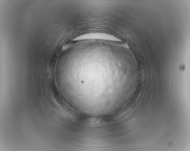 X0000091490272200709061907