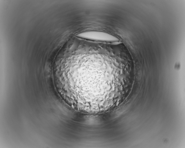 X0000091490273200709061907