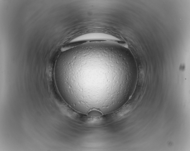 X0000091490274200709061907