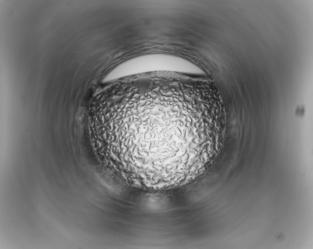 X0000091490275200709061907