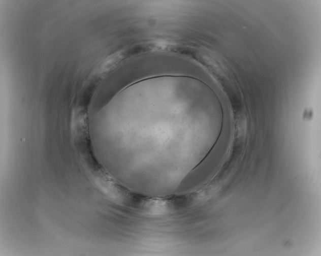 X0000091490276200709061907