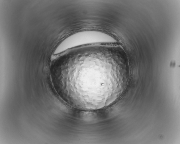 X0000091490277200709061907