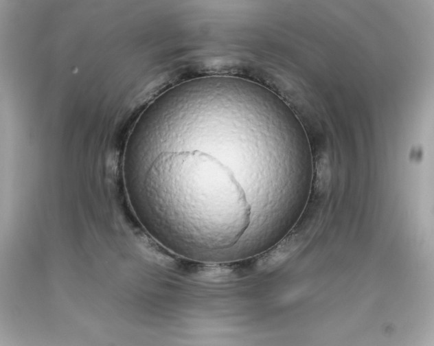 X0000091490278200709061907