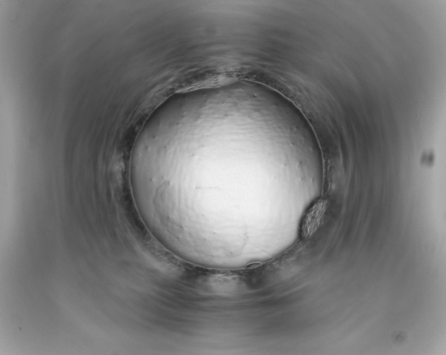 X0000091490279200709061907
