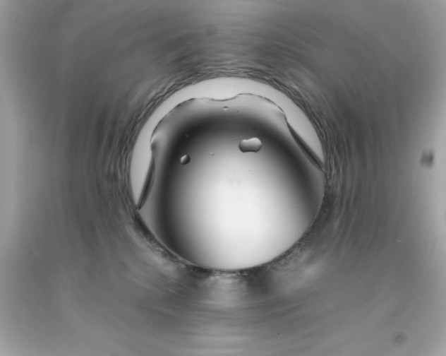 X0000091490280200709061907