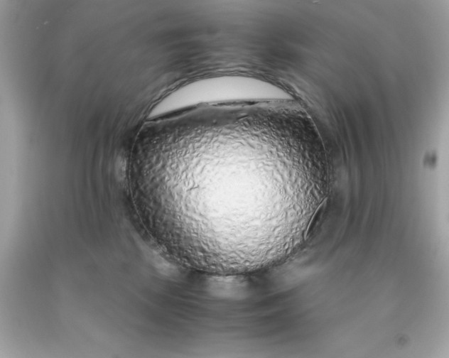 X0000091490281200709061907