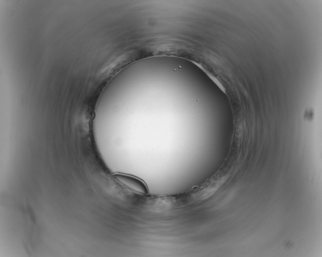X0000091490282200709061907