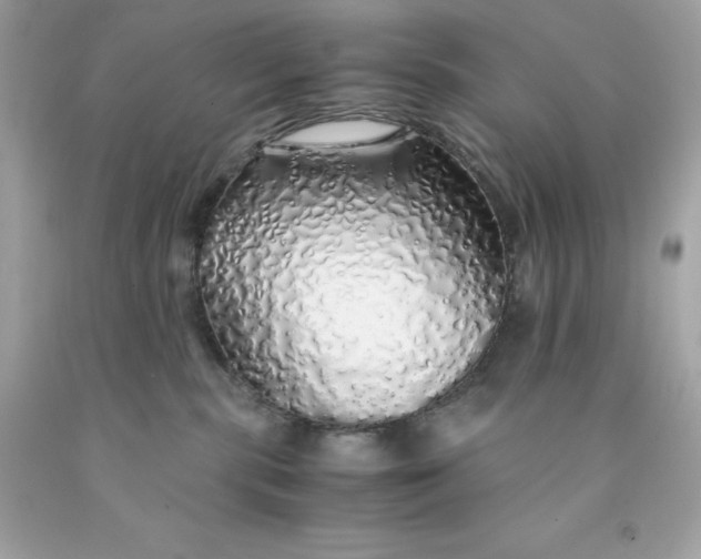 X0000091490283200709061907