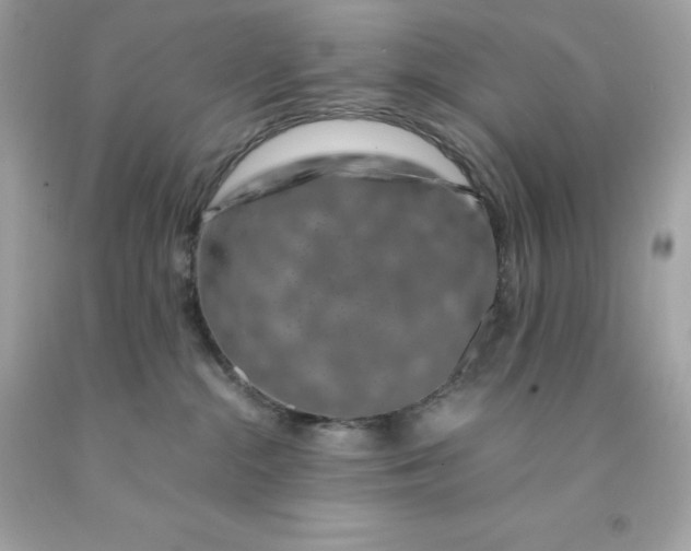 X0000091490284200709061907