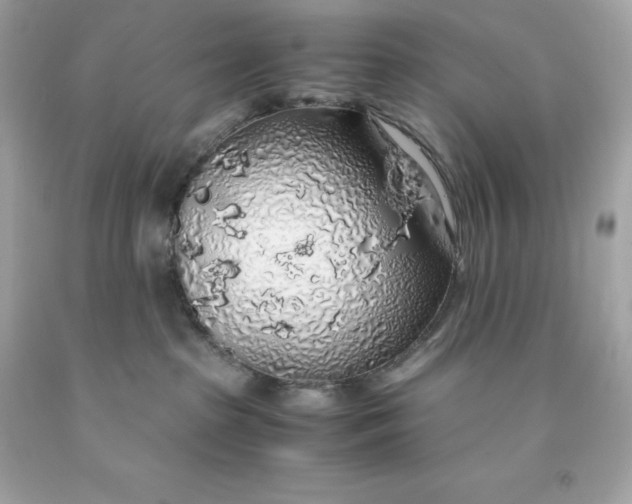 X0000091490285200709061907