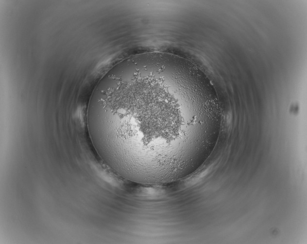 X0000091490286200709061907