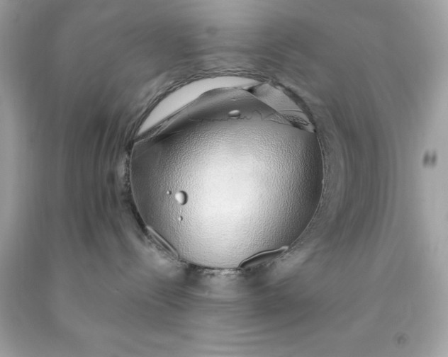 X0000091490288200709061907