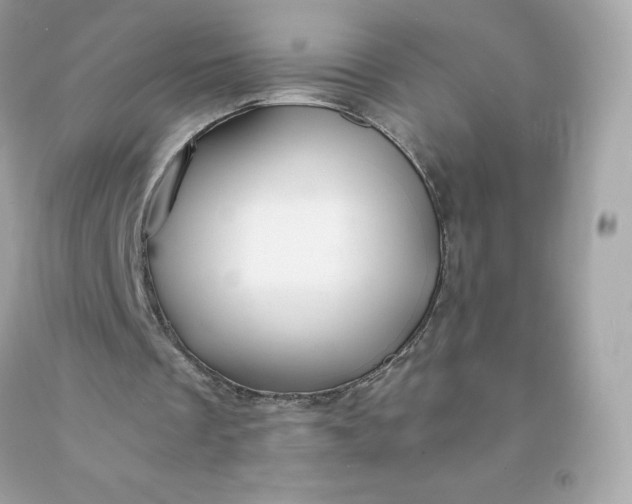 X0000091490289200709061907