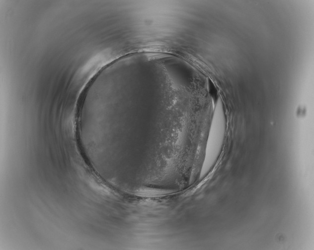 X0000091490290200709061907