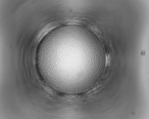 X0000091490291200709061907