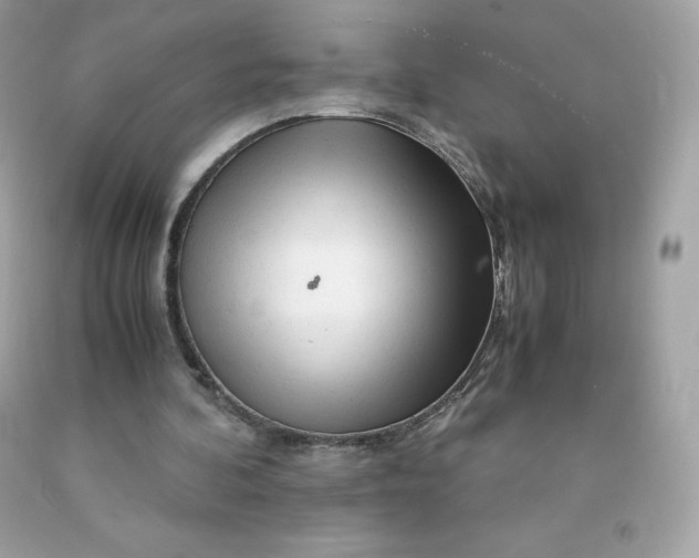 X0000091490292200709061907