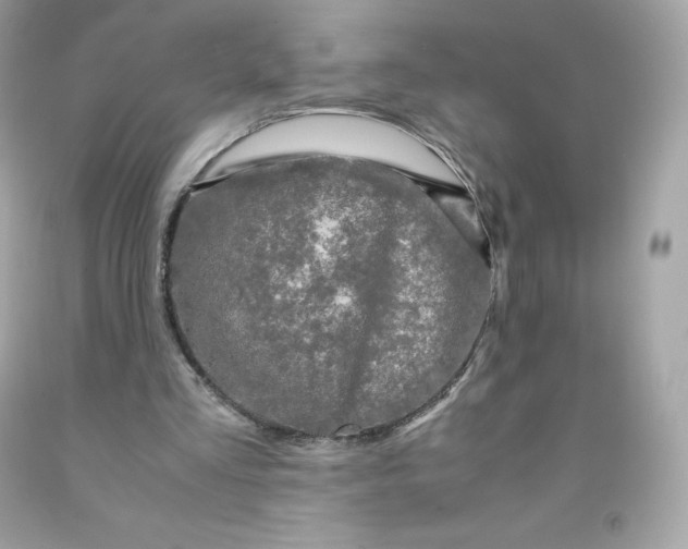 X0000091490293200709061907