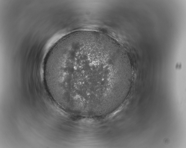 X0000091490294200709061907