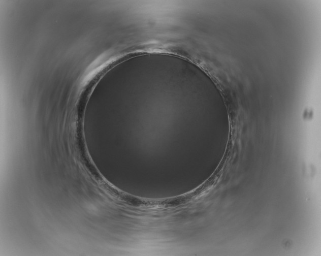 X0000091490295200709061907