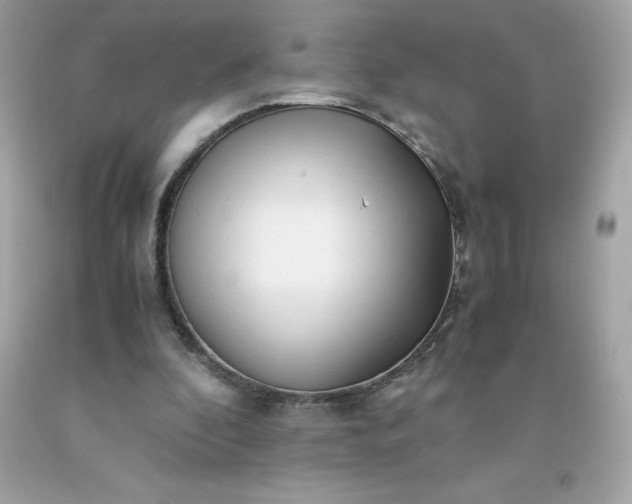 X0000091490296200709061907