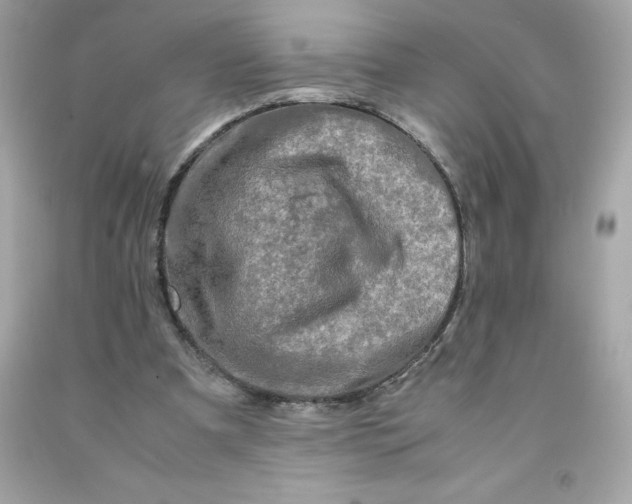 X0000091490297200709061907