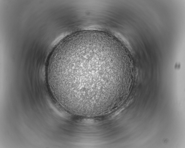 X0000091490298200709061907