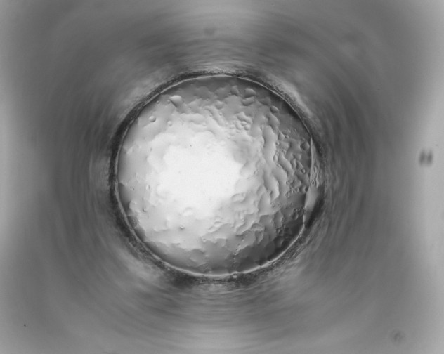 X0000091490299200709061907