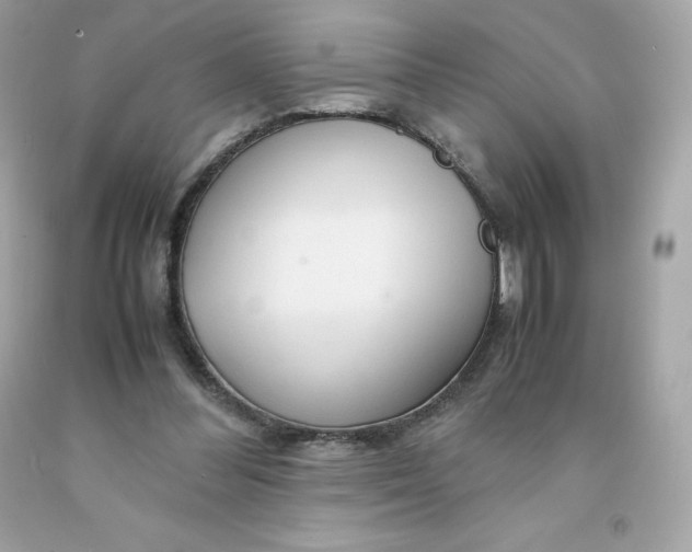 X0000091490300200709061907