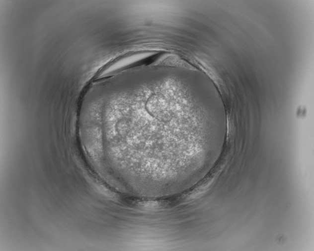 X0000091490301200709061907