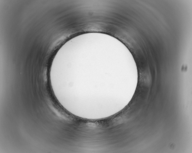 X0000091490302200709061907