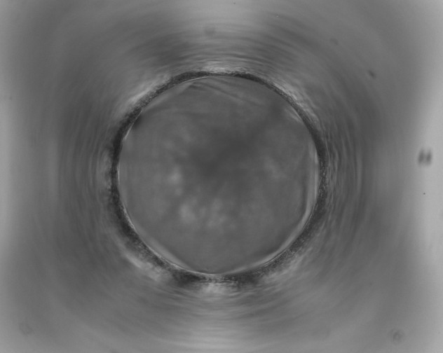 X0000091490303200709061907