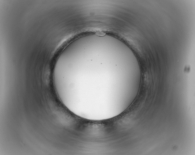 X0000091490304200709061907