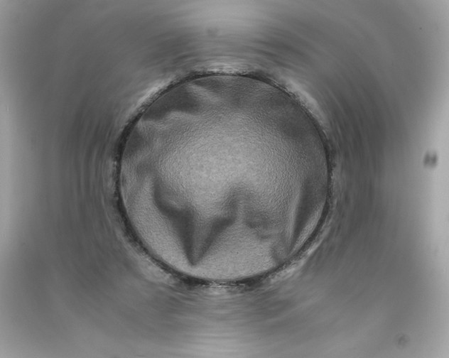 X0000091490305200709061907