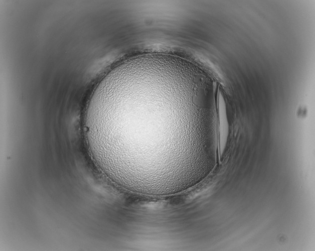 X0000091490306200709061906