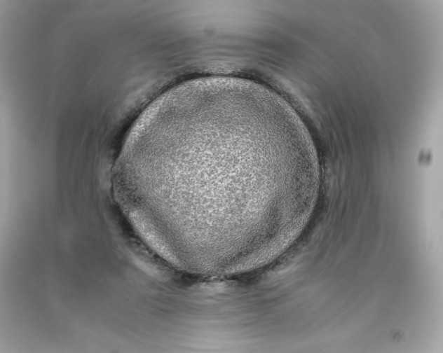 X0000091490307200709061906