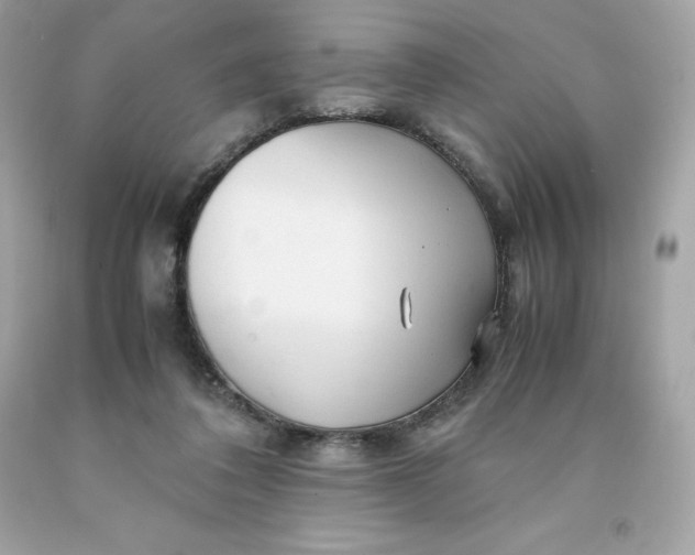 X0000091490308200709061906