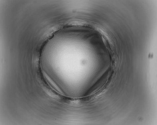 X0000091490309200709061906