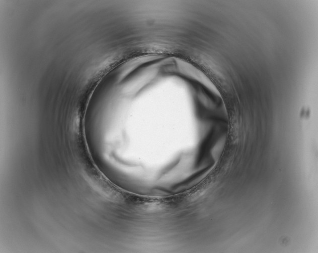 X0000091490310200709061906