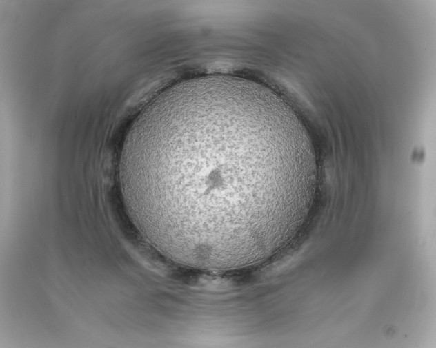 X0000091490311200709061906