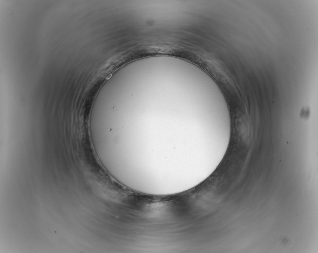 X0000091490312200709061906