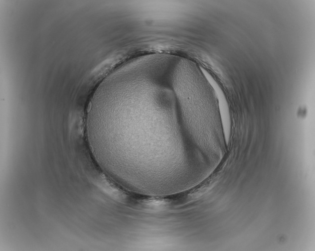 X0000091490313200709061906