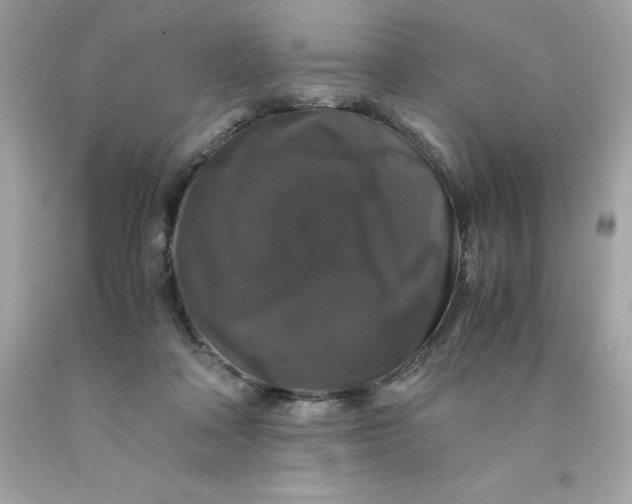 X0000091490314200709061906